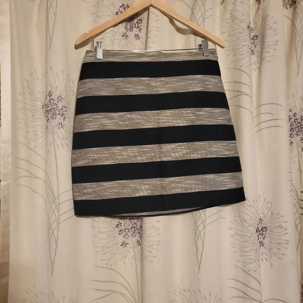 LOFT Ann Taylor Skirt Blue Silver Stripe Size 6